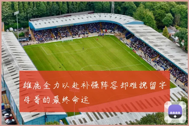 雄鹿全力以赴补强阵容却难挽留字母哥的最终命运