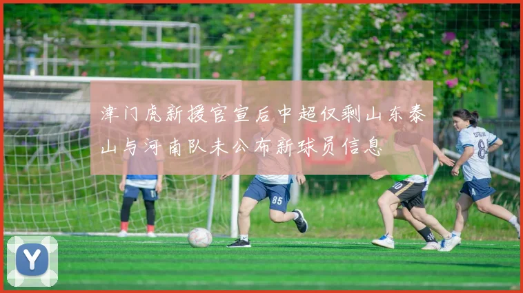 津门虎新援官宣后中超仅剩山东泰山与河南队未公布新球员信息