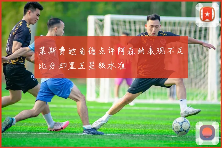 莱斯费迪南德点评阿森纳表现不足比分却显五星级水准